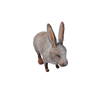 Rabbit Realistic Red